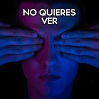 No quieres ver (feat. Elemento Clab, Zilah & Shabu One Shant) - Single - Gradozero