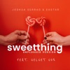 Sweet Thing - Unplugged Version - Single (feat. Velvet Vox) - Single