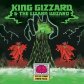 King Gizzard And The Lizard Wizard - Hot Water
