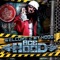 Hustle Hard (Remix) - Ace Hood, Lil Wayne & Rick Ross lyrics