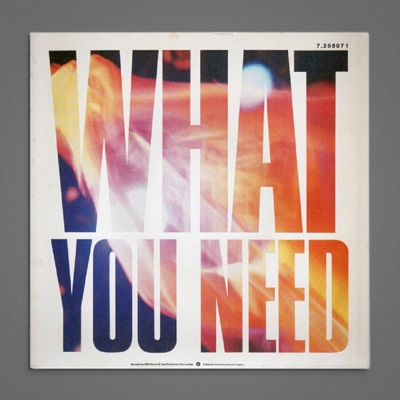 What You Need (feat. MilliBucks) - Single