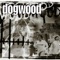 Control - Dogwood lyrics