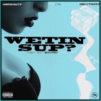 Wetin Sup? (feat. Uglytwizz) - Single - Harshwtf