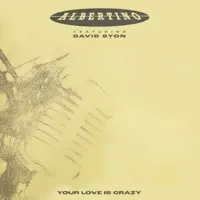 Your Love Is Crazy (feat. David Syon) [Radio Version]