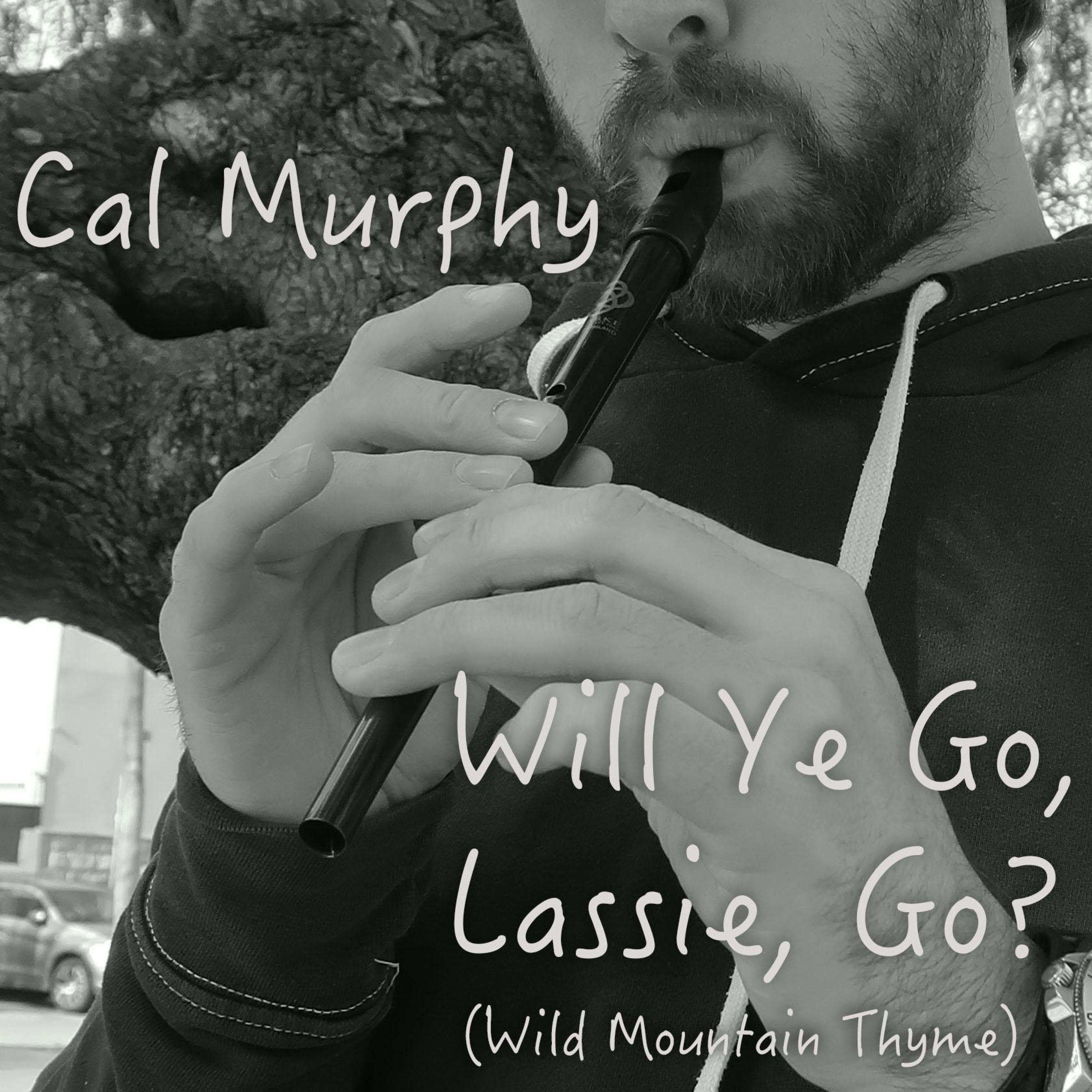 Wild Mountain Thyme - Will Ye Go Lassie Go by Liam Clancy on Seachrán: The Celtic Show