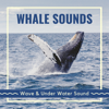 Whale Sounds - Wave & Under Water Sound - Samuel Soft