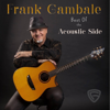 Best of the Acoustic Side - Frank Gambale