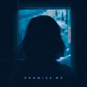 Promise Me (feat. Fallen Oceans)