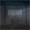 Within Dissociation - Single