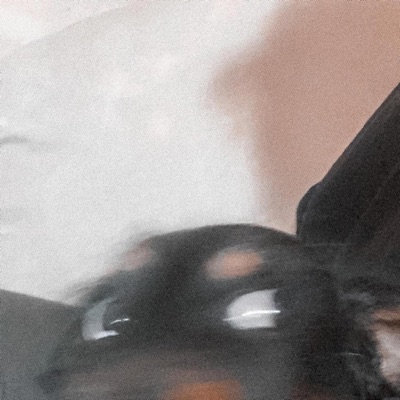 My Life in Glass Houses - EP