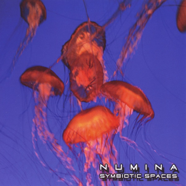 Symbiotic Spaces - Numina