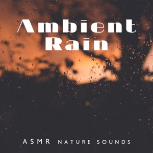 Ambient Rain: ASMR Nature Sounds