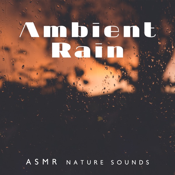 Ambient Rain: ASMR Nature Sounds
