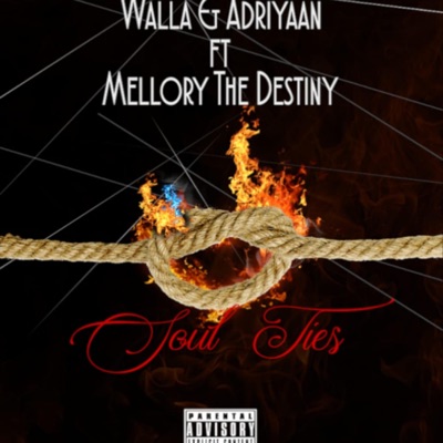 Soul Ties (feat. Mellory) - Single