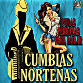Cumbias Nortenas - Puras Perronas Para Bailar artwork