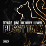 City Girls, Quavo & Lil Wayne - Pussy Talk (Remix)