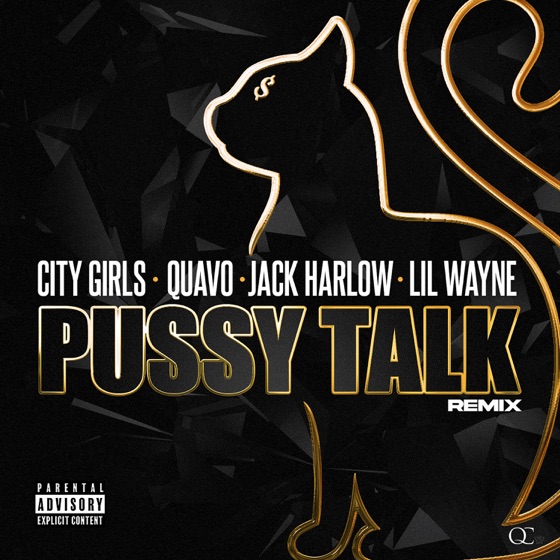 Cover artwork for Pussy Talk (Remix)