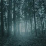 Wouter Veldhuis - An Ever Changing Landscape (Depending On Your Point of View)