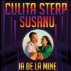 Culita Sterp - Ia De La Mine (feat. Susanu)