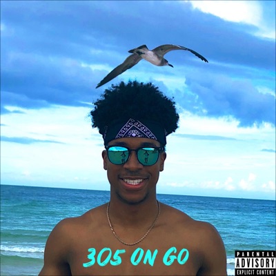 305 on Go  My Year. - Single