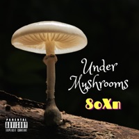 Under Mushrooms - Single - 80xn