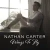 Wings To Fly