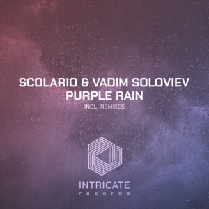 Purple Rain (Desaicrator Remix)