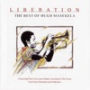 Liberation - The Best Of, 2003