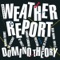 Swamp Cabbage - Weather Report lyrics