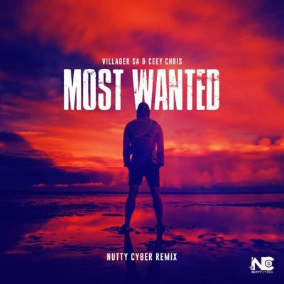 Villager SA & Ceey Chris Most Wanted (remix) - Single
