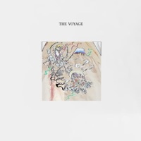 The Voyage - Single - insomnia