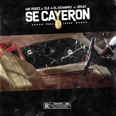 Se Cayeron - Single