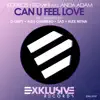 Kourosh Tazmini & Anda Adam - Can U Feel Love (Radio Edit)