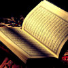 The Holy Quran - Le Saint Coran, Vol 13 - الشيخ ماهر المعيقلى