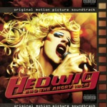 Hedwig and the Angry Inch - wig in a box