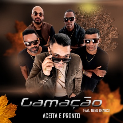 Aceita e Pronto (feat. Nego Branco) - Single