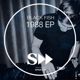 Mad Black Fish