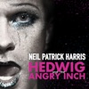 Hedwig and the Angry Inch (Original Broadway Cast Recording) artwork