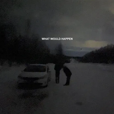 Hör dir „What Would Happen - Single“ von rainfield an