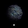 Rift cover art