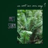 We Went Our Own Ways - Matt Storm