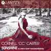 Cornell C.C. Carter - Sunshine (DJ Spen & Gary Hudgins Long Version)