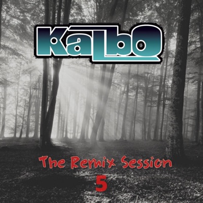 The Remix Session 5 - EP