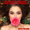 Suflet Pasager - Single
