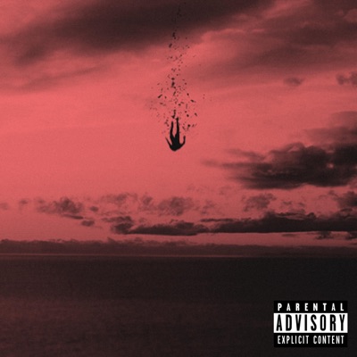 I'm Trying - Single
