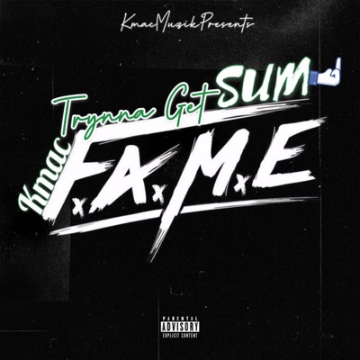 Tryna Get Sum Fame - Single