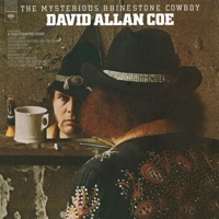 David Allan Coe - I Still Sing the Old Songs