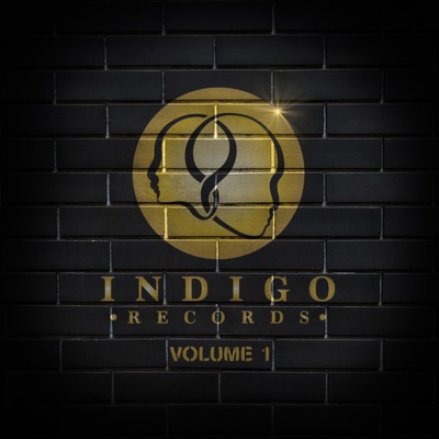 Indigo Records, Vol. 1