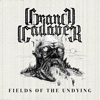 Fields of the Undying - Single