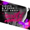 Secrets (feat. Vassy) [David Zowie Remix] - Tiësto & KSHMR lyrics